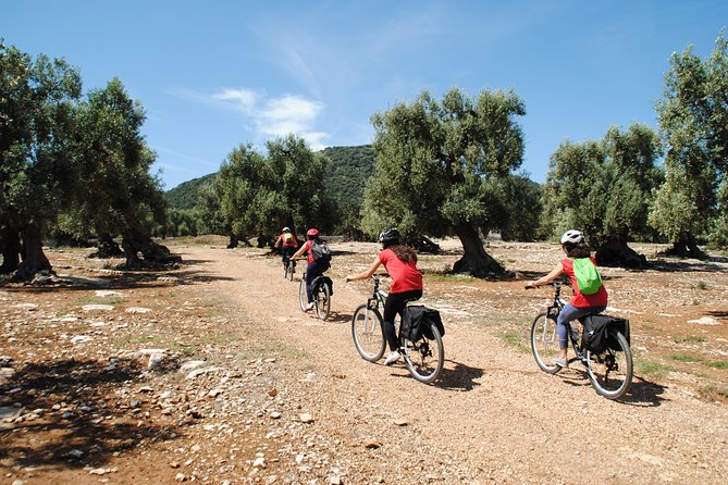 The Millennials Bike Tour - Accessibility and Restrictions