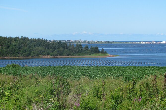 The Ultimate Anne of Green Gables Private Tour - Tour Duration and Availability