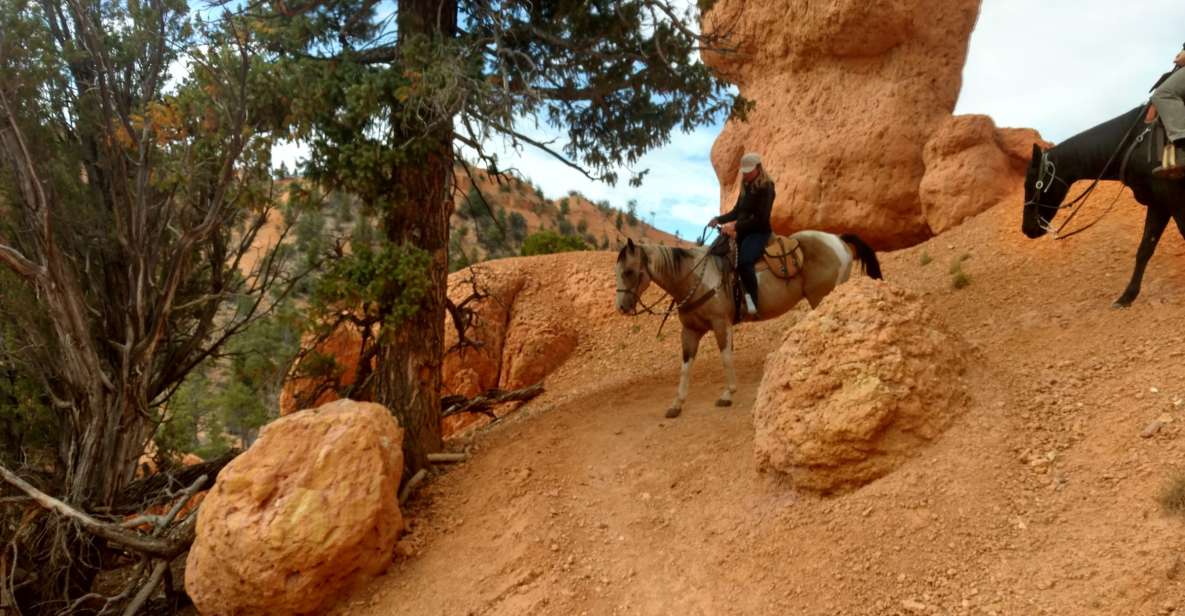 Thunder Mountain Trail: Scenic Horseback Ride - Tour Details