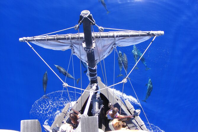 Time Travel on Columbus Replica Flag Ship in Madeira - Logistical Details and Meeting Point