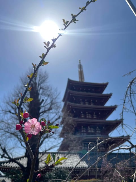 Tokyo: Asakusa Senso-ji Temple Tour Review - Cultural Experience