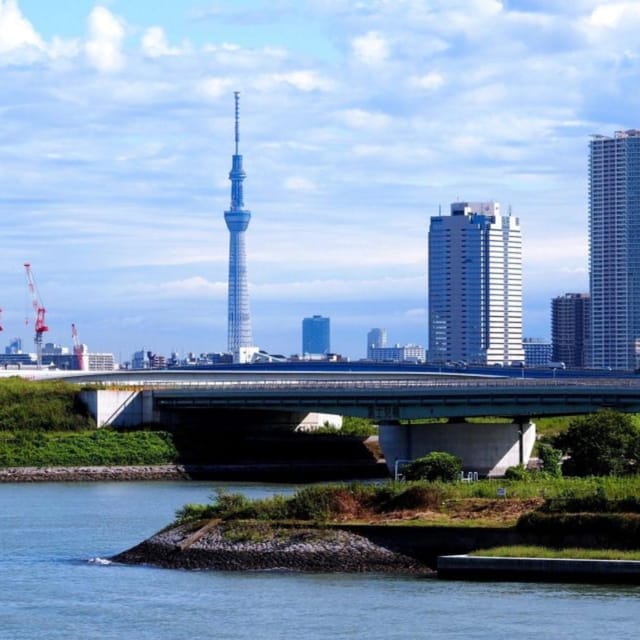 Tokyo Customize Private City Tour By English Speaking Driver - Participant Recommendations