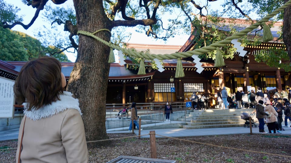 Tokyo Harajuku Meiji Shrine 1h Walking Explanation Tour - Highlights and Experiences