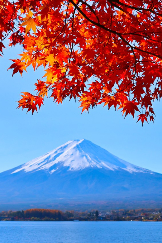 Tokyo: Mount Fuji and Lake Kawaguchi Scenic 1-Day Bus Tour - Inclusions