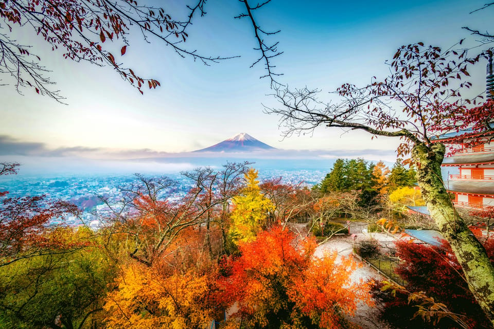 Tokyo: Mt. Fuji & Hakone Tour With English Speaking Driver. - Transportation and Accessibility