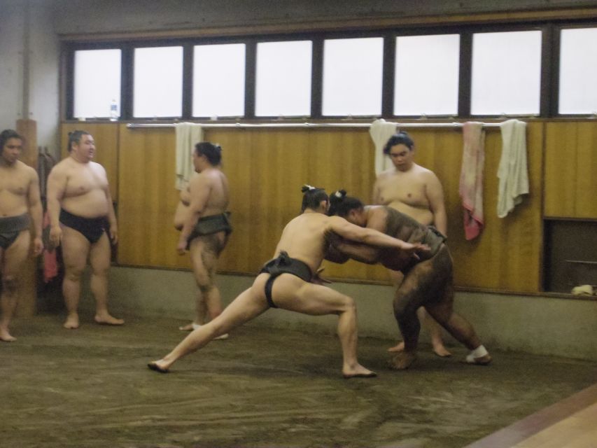 Tokyo: Sumo Morning Practice Viewing Tour - Highlights and Learning