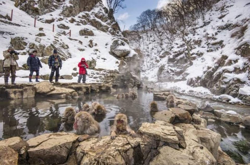 Tokyo To Nagano (Snow Monkey Zenkoji Temple Private Tour) - Jigokudani Monkey Park