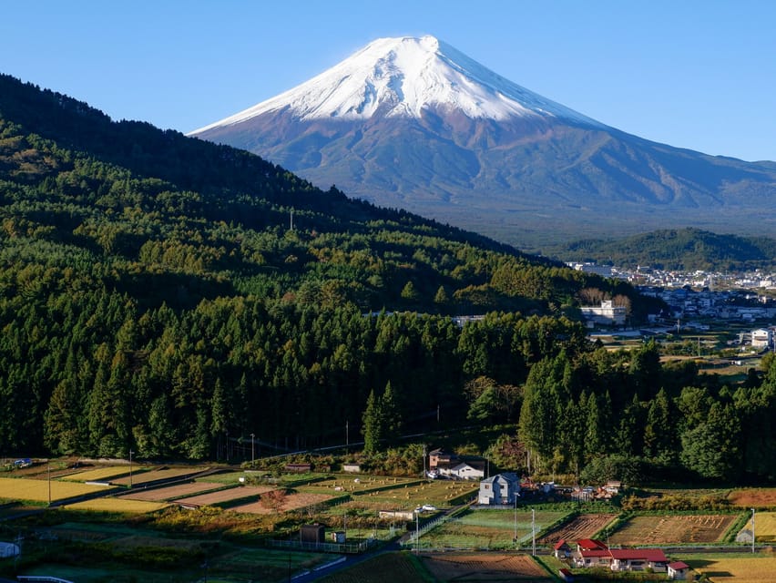 Tokyo:Superultimate Mt.Fuji Trip With English Speaking Guide - Pickup and Drop-off Locations