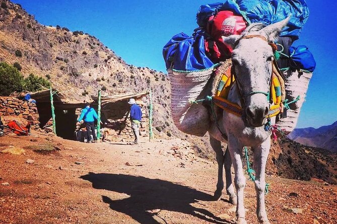 Toubkal Ascension 2 Days - Group Size and Fitness Level