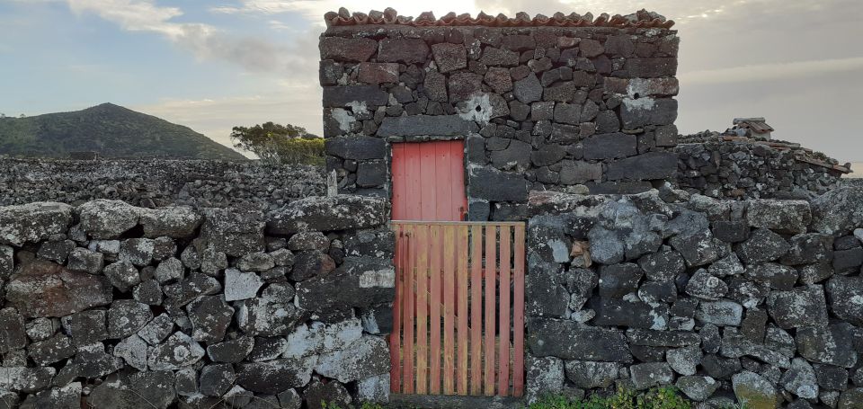 Tours on Pico Island - Cultural and Natural Landscape - Volcanic Landscapes and Lava Fields