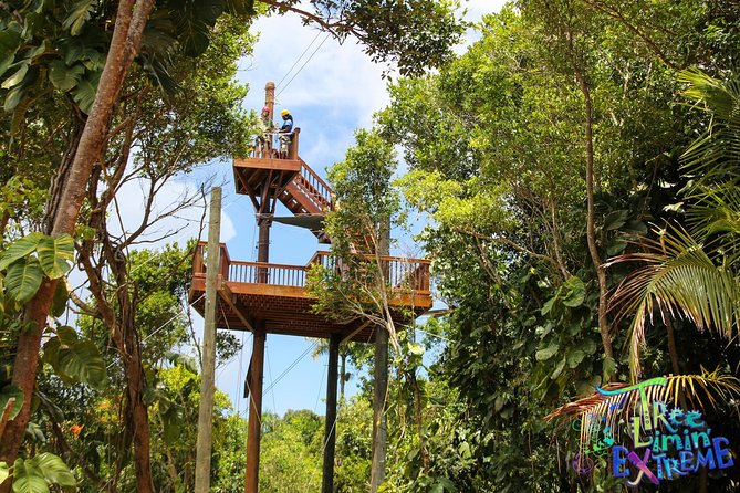 Tree Limin Extreme Zipline - Unique Yo-Yo Zipline