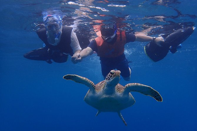 Turtle Beach Power Snorkeling Adventure - Tour Details