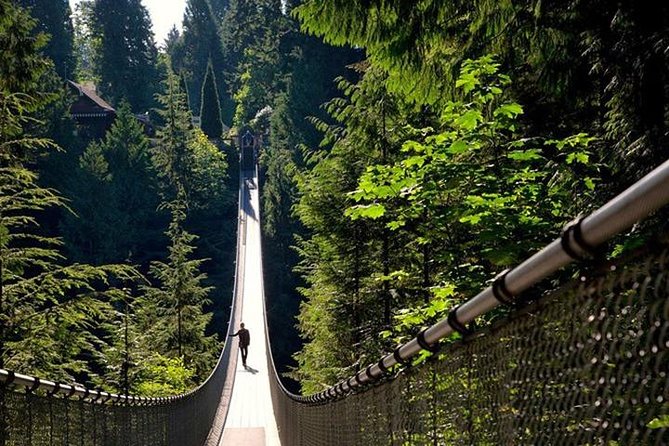 Vancouver, Capilano Suspension & Grouse Mountain Private Tour - Capilano Suspension Bridge