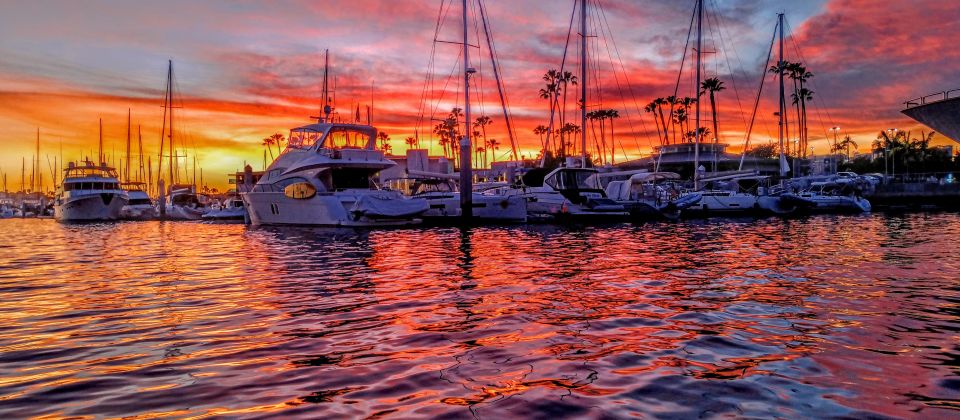 Venice Beach Scenic Photo Tour of Famous Iconic Spots - Photography Experience