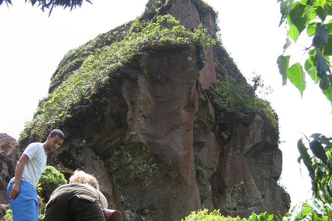 Volcano Crater Hike in St Kitts - Exploring the Rainforest