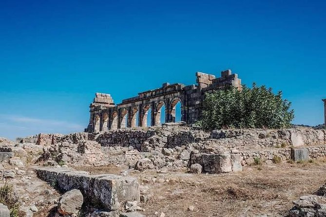 Volubilis and Meknes Day Trip From Fez - Accessibility and Participation