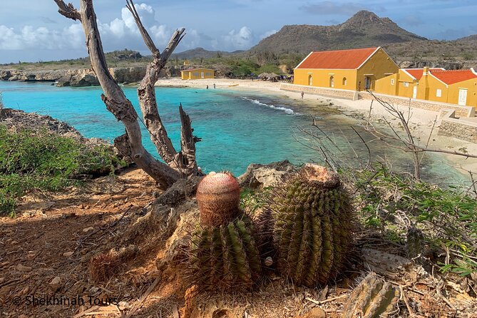 Washington Park Tour With Local Guide on Bonaire - Wildlife Spotting Opportunities