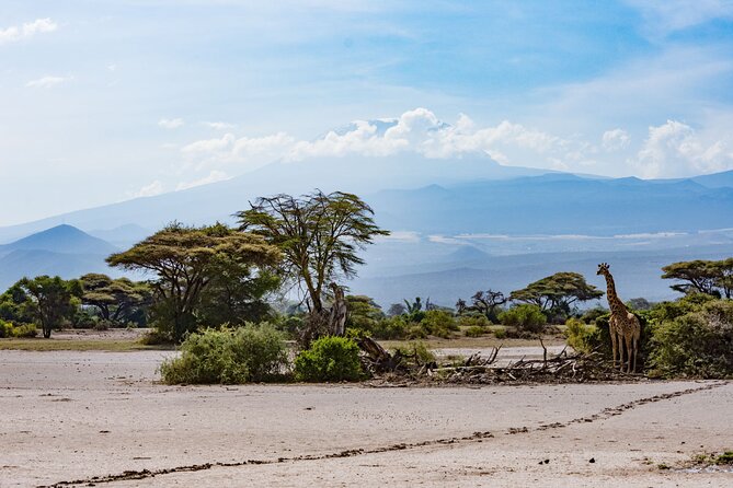 West Kilimanjaro Cycling Adventures - Health and Safety