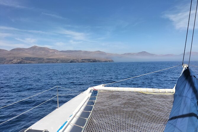 Whale & Dolphin Observation on Silent Catamaran With Hydrophone - Inclusions