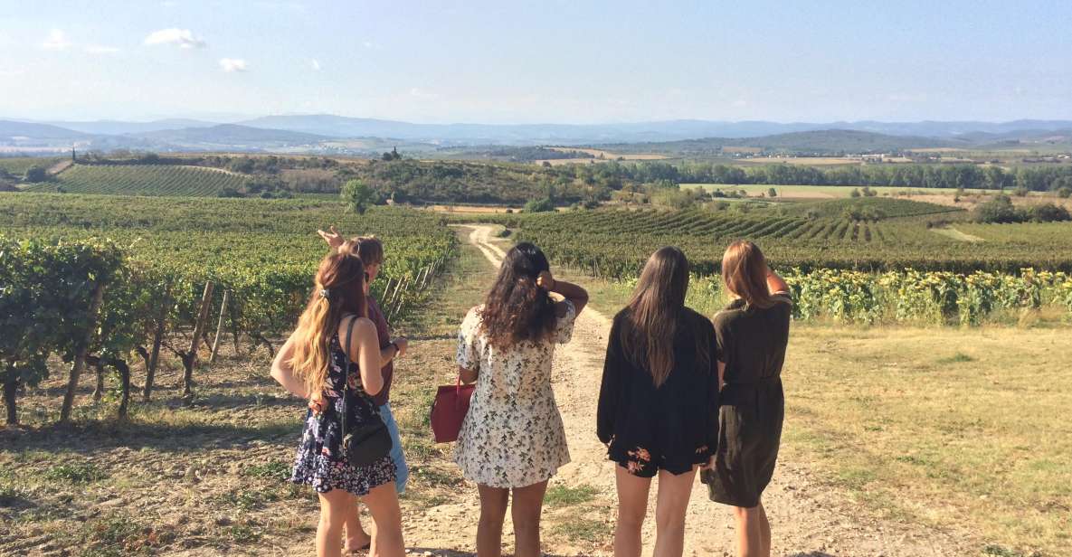 Wine Tour Cathar Country - Explore Production Methods