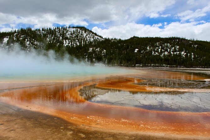 Yellowstone Lower Loop Full-Day Tour - Customer Reviews