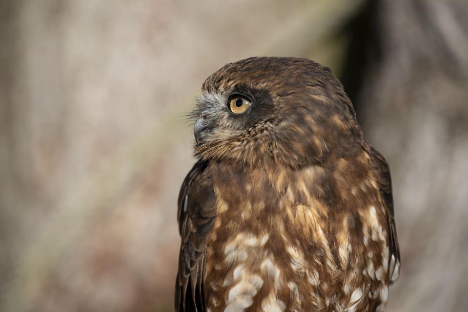 York: York Bird of Prey Centre Entry Ticket - Onsite Amenities