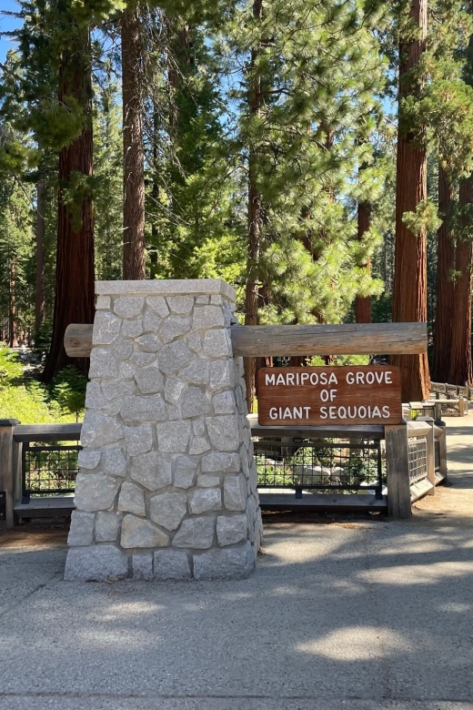 Yosemite, Giant Sequoias, Private Tour From San Francisco - Tour Highlights