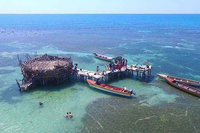 YS Falls and the Pelican Bar Adventure Tour From Negril - Reviews