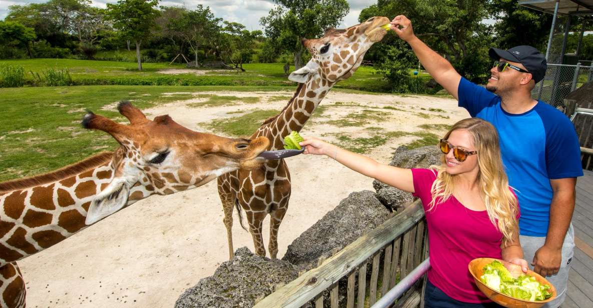 Zoo Miami: General Admission Ticket - Animal Exhibits and Experiences