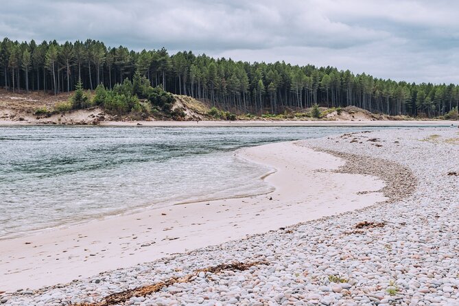 1-Day Moray Coast Tour With Speyside Whisky From Inverness - RSPB Troup Head Nature Reserve