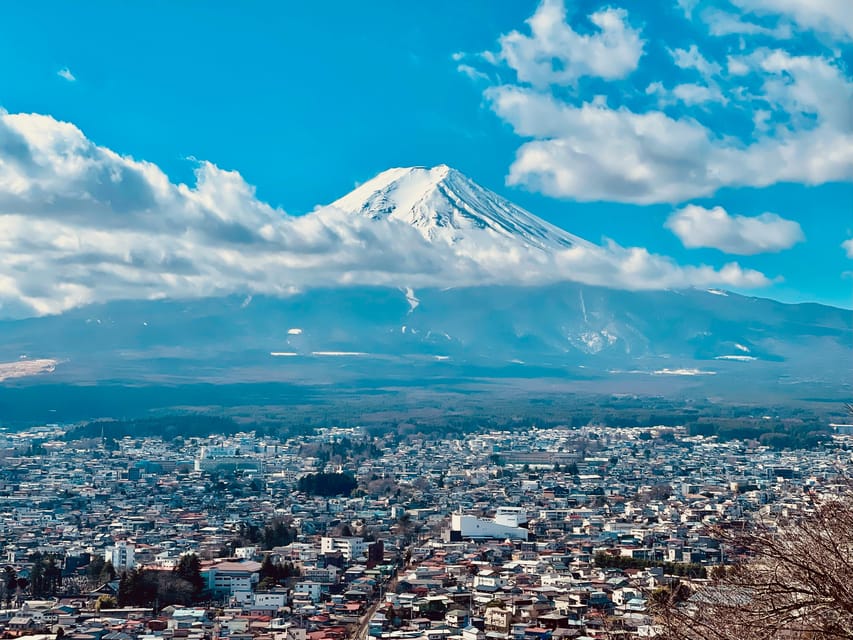 1-Day Mt Fuji Sightseeing Trip From Tokyo - Itinerary and Key Stops