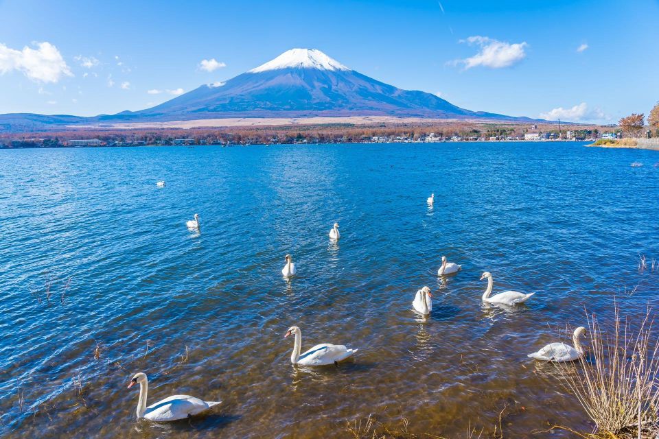 1-Day Trip: Mt Fuji + Kawaguchi Lake Area - Scenic Beauty of Mount Fuji