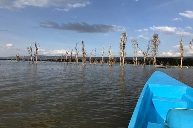 1 Day Trip to Hells Gate and Lake Naivasha From Nairobi - Biking and Hiking Experience