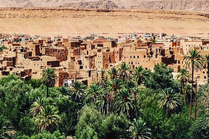 12 Day Morocco Tour - Schedule and Accessibility