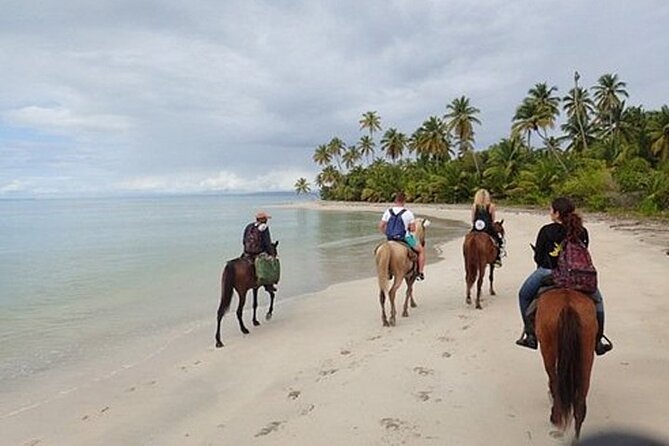 2 Hour Horseback Riding on the Beaches of Punta Cana - Preparing for the Ride