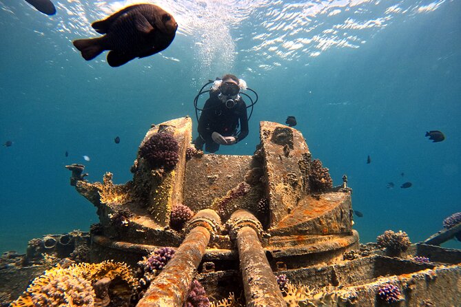 2-Hour Private Scuba Experience in Aqaba - Availability and Accessibility