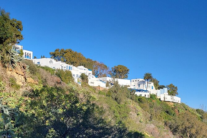 2 Hours Shared Walking Tour of Sidi Bou Said - Reviews and Ratings