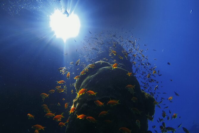 3-Day Open Water Scuba Diving Course in Aqaba - Health and Safety Considerations