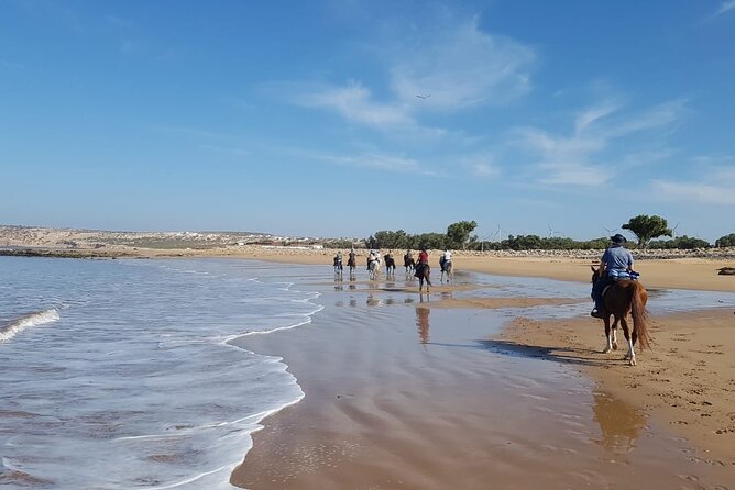 3 Hours Horse Riding in Essaouira, Beach, Forest and Dunes - Professional Guide Expertise