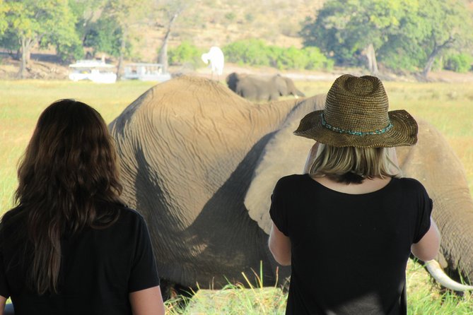 5-Day Victoria Falls and Chobe Tour From Victoria Falls - Wildlife Experiences