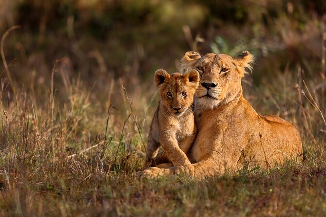 5 Days Masai Mara, Lake Nakuru & Naivasha Budget Joining Safari - Group Size