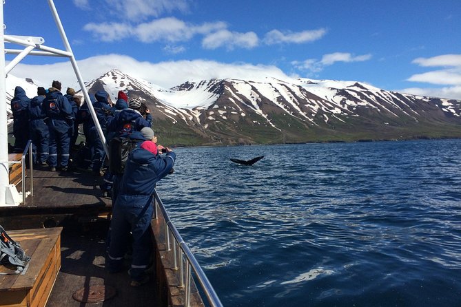 7-Day Complete Iceland: South Coast, Golden Circle, Akureyri & Snaefellsnes - Captivating Jokulsarlon Glacier Lagoon and Diamond Beach