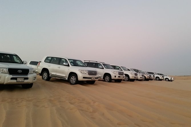 Abu Dhabi Morning Desert Safari - Guest Reviews and Ratings