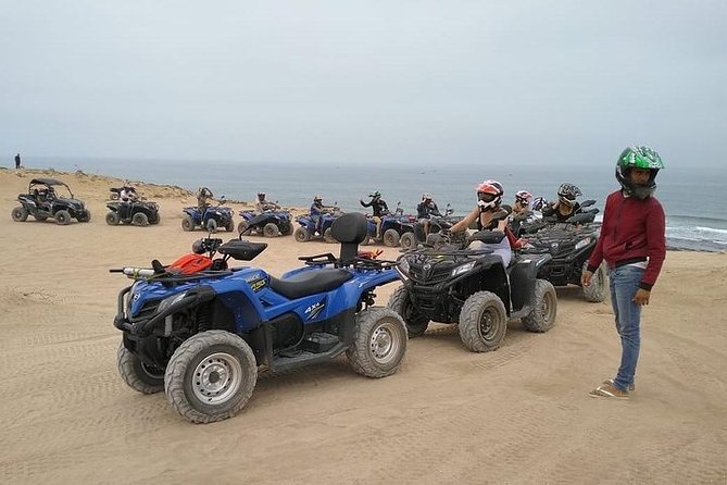 Agadir ATV Quad Wild Beach Dunes & Forest in the Heart of Agadir - Discovering Argan Groves