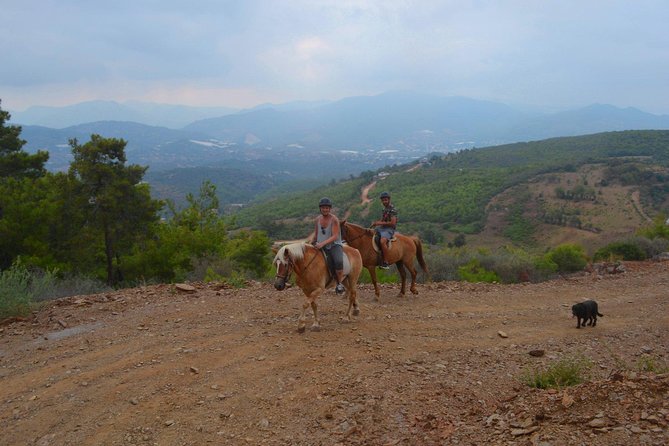 Alanya 3 Hour Horse Back Riding - Booking and Cancellation