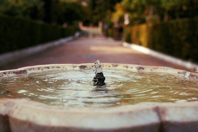 Alcazar and Cathedral of Seville Private Tour - Reviews and Feedback