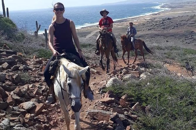 Aruba 2,5 Hrs Horseback Riding for Advanced Riders - Itinerary: Exploring the Countryside