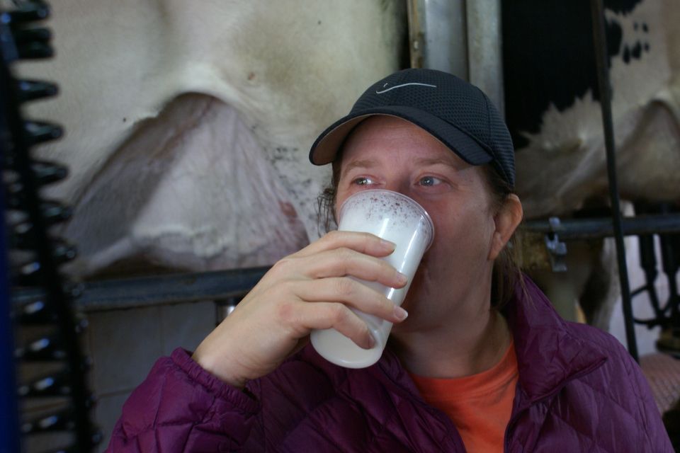 Azores: Day at the Farm With Outdoor Traditional Lunch - Milking Cows and Tasting Fresh Dairy