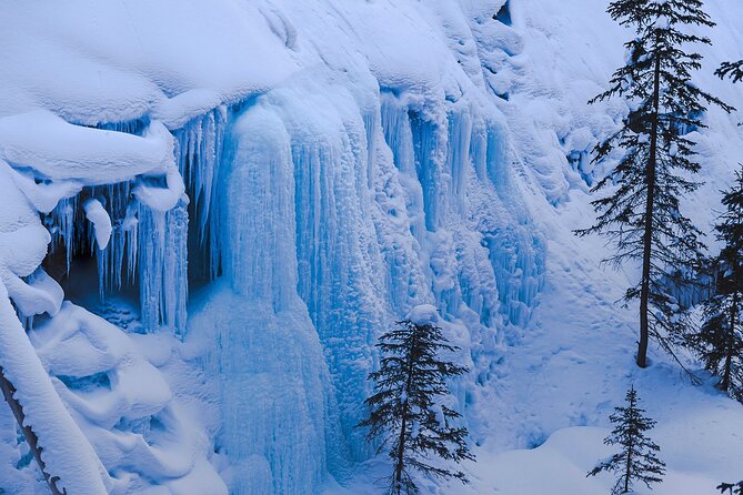 Banff, Lake Louise & Johnston Canyon | Winter Wonderland Tour - Group Size and Experience