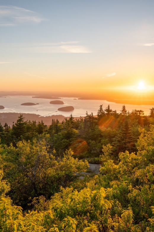 Bar Harbor: Acadia National Park Small-Group Guided Tour - Learning From the Naturalist Guide